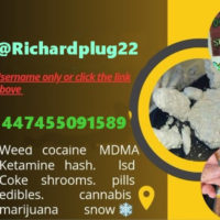 WHATSAPP+447455091589 BUY #WEED, #THC #CBD OIL IN DUBAI/ABU DHABI