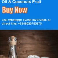 Nigerian Coconut Products Suppliers and Manufacturers of Coconut Oil