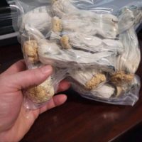 Whatsapp +61 7 3497 6541 to buy  magic mushrooms online in  Sydney