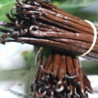 Premium Gourmet Whole Bean Pods for sale +27631501216 Vanilla Production in Uganda