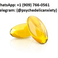 Telegram:(@psychedelicanxiety) Buy LSD Gel Tabs in Australia.