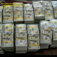 +27833928661 Quality Undetectable Counterfeit Banknotes For Sale In Kuwait,Dubai,Qatar,UAE,Zambia