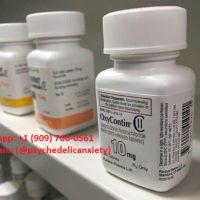 Telegram:(@psychedelicanxiety) Buy Oxycontin 80mg online